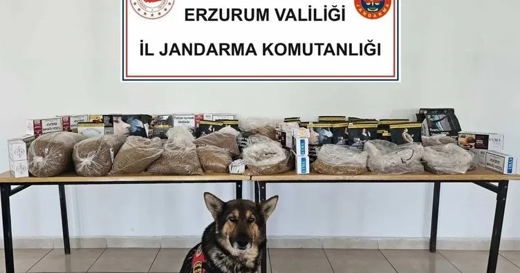 752X395 Dedektor Kopegi Zahirin Destegiyle Kacak Tutun Ve Mamulleri Yakalandi 1748956962837