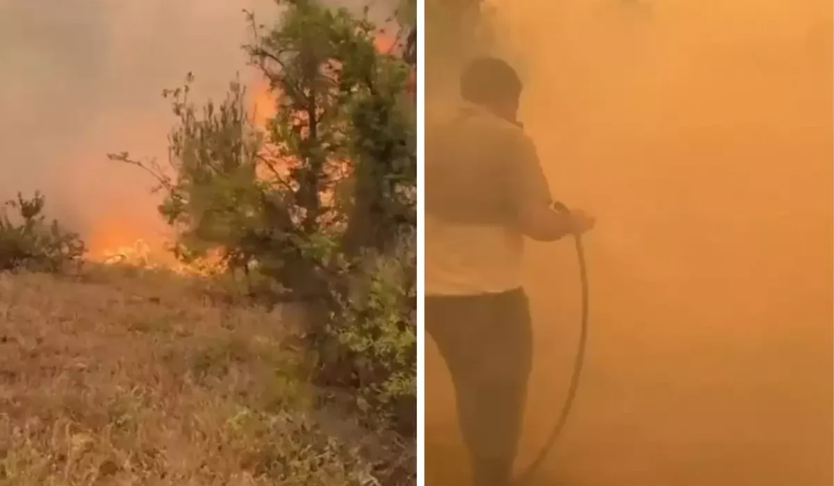 Türkiye Orman Yangınlarıyla Mücadele Ediyor