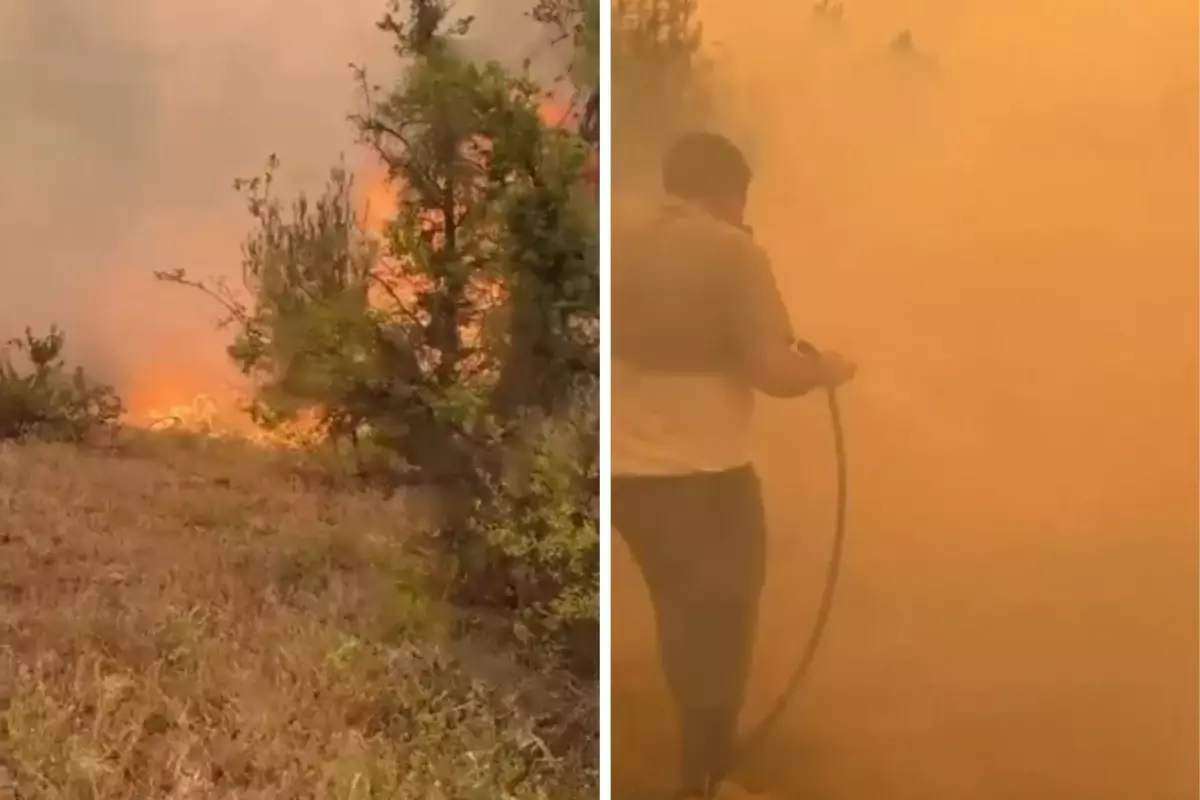 Türkiye Orman Yangınlarıyla Mücadele Ediyor