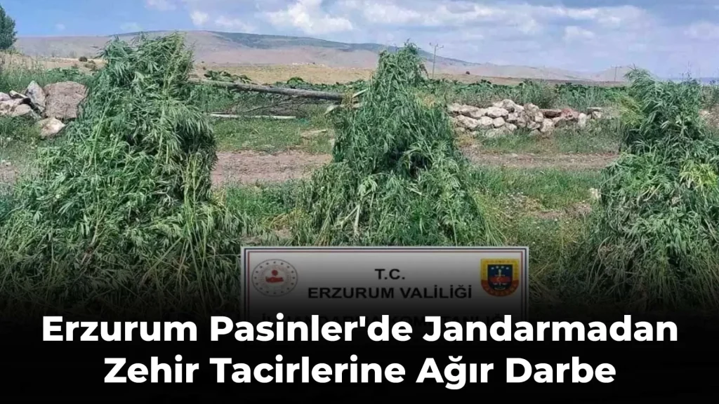 Erzurum Pasinler'de Jandarmadan Zehir Tacirlerine Ağır Darbe
