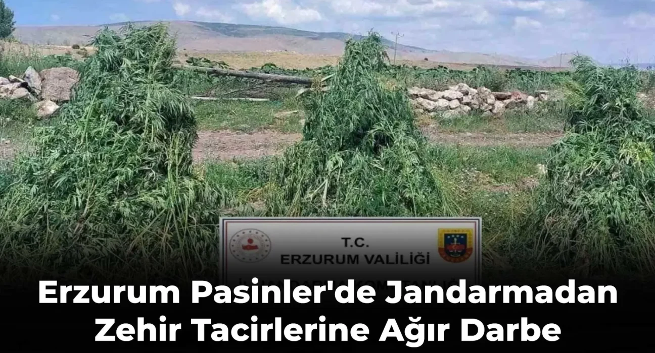 Erzurum Pasinler'de Jandarmadan Zehir Tacirlerine Ağır Darbe