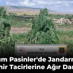 Erzurum Ragbi Müsabakalarına Ev Sahipliği Yaptı