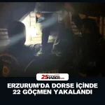 Karanlık Odada Bir Kedi: Adaletin Peşinde