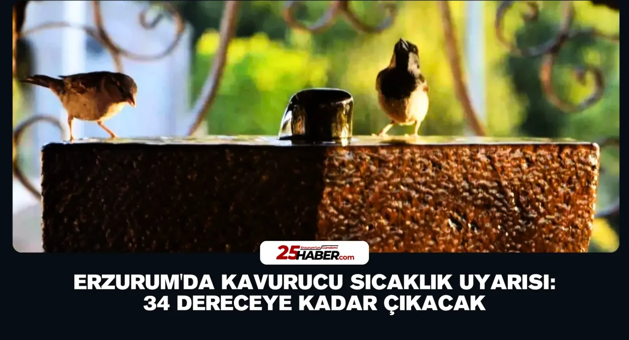 Erzurum'da Kavurucu Sıcaklık Uyarısı: 34 Dereceye Kadar Çıkacak