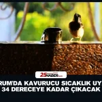Run to Stars Yarışlarına Jandarmadan Tam Koruma
