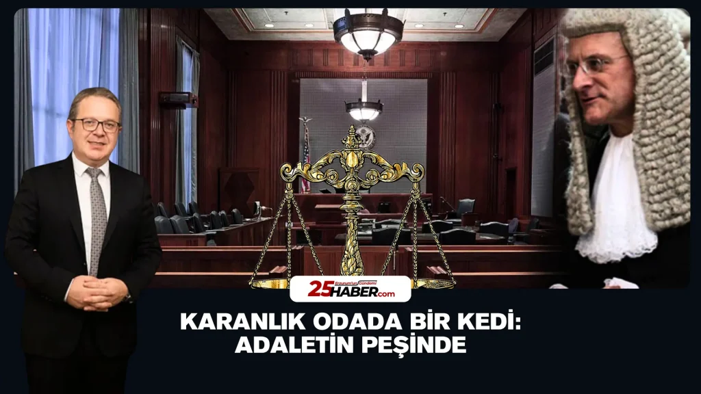 Karanlık Odada Bir Kedi: Adaletin Peşinde