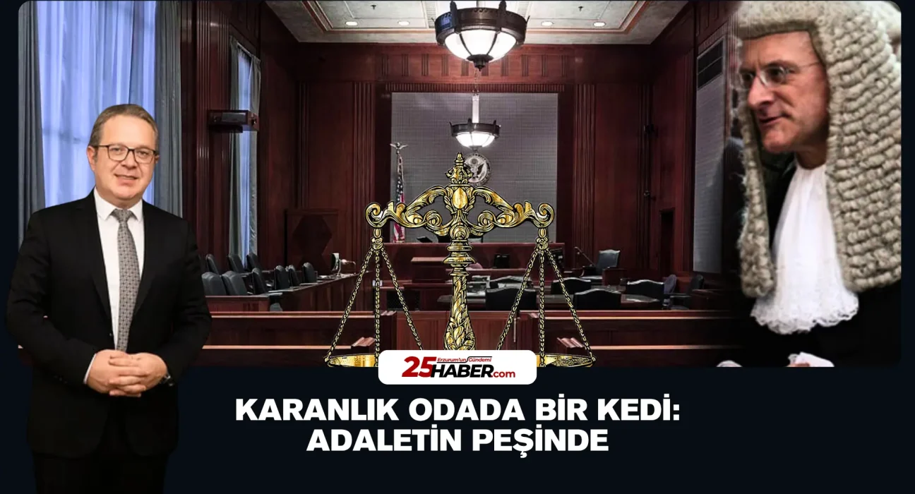 Karanlık Odada Bir Kedi: Adaletin Peşinde