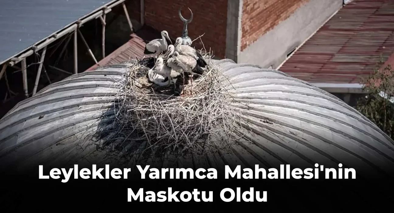 Leylekler Yarımca Mahallesi'nin Maskotu Oldu