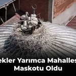 Prof. Dr. Muammer Yaylalı ETÜ Kampüsünde Son Yolculuğuna Uğurlandı
