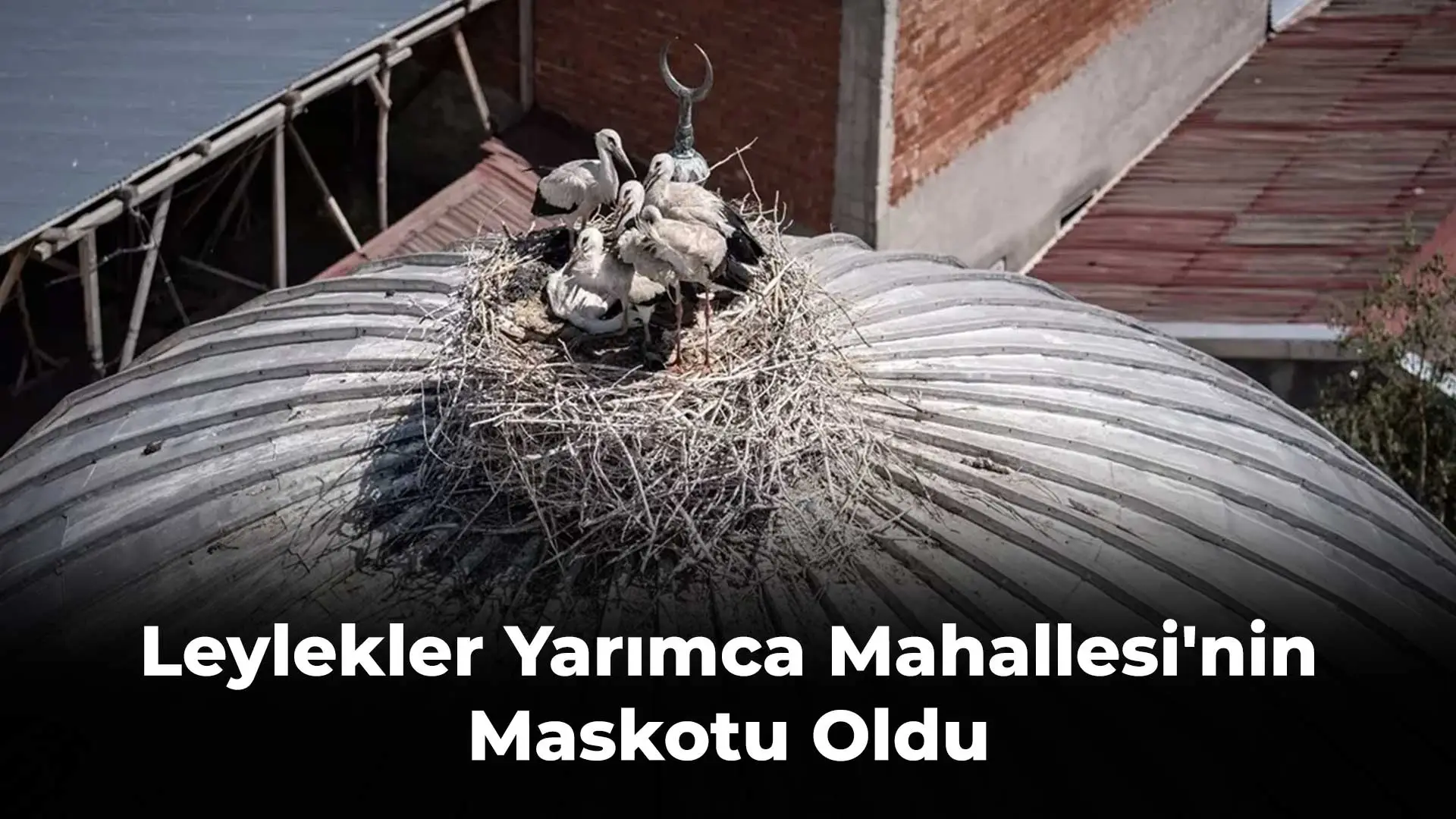 Leylekler Yarımca Mahallesi'nin Maskotu Oldu