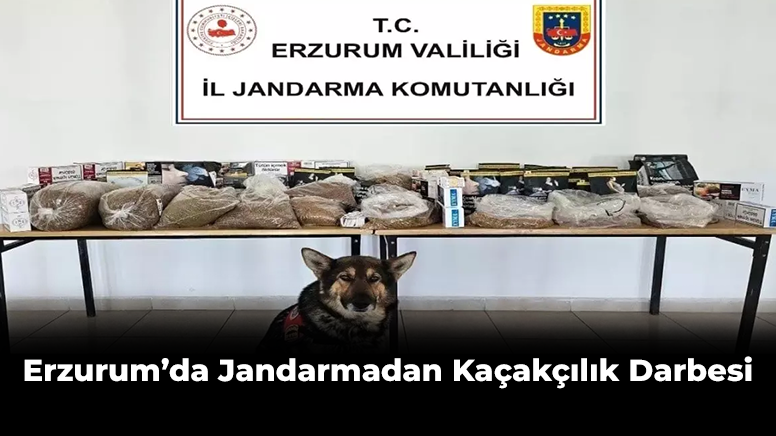 Erzurum’da Jandarmadan Kaçakçılık Darbesi