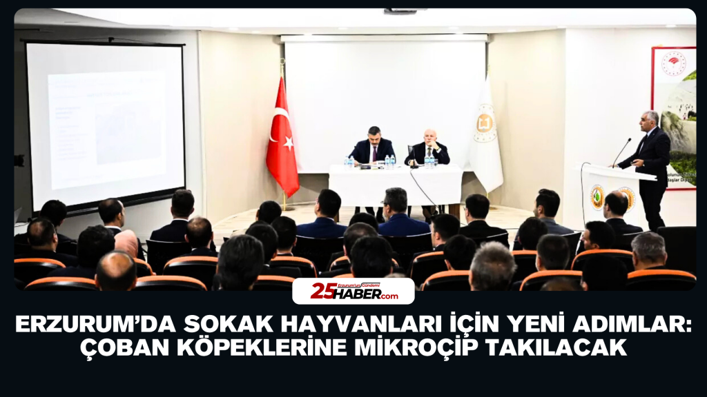 Erzurum’da Sokak Hayvanları İçin Yeni Adımlar: Çoban Köpeklerine Mikroçip Takılacak