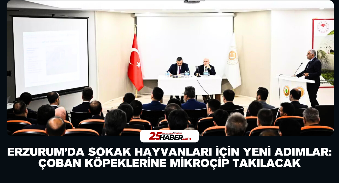 Erzurum’da Sokak Hayvanları İçin Yeni Adımlar: Çoban Köpeklerine Mikroçip Takılacak