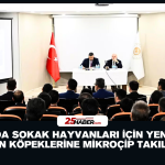 Erzurum’da TIR Kazası: Sürücü Hayatını Kaybetti